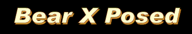 Bear X Posed